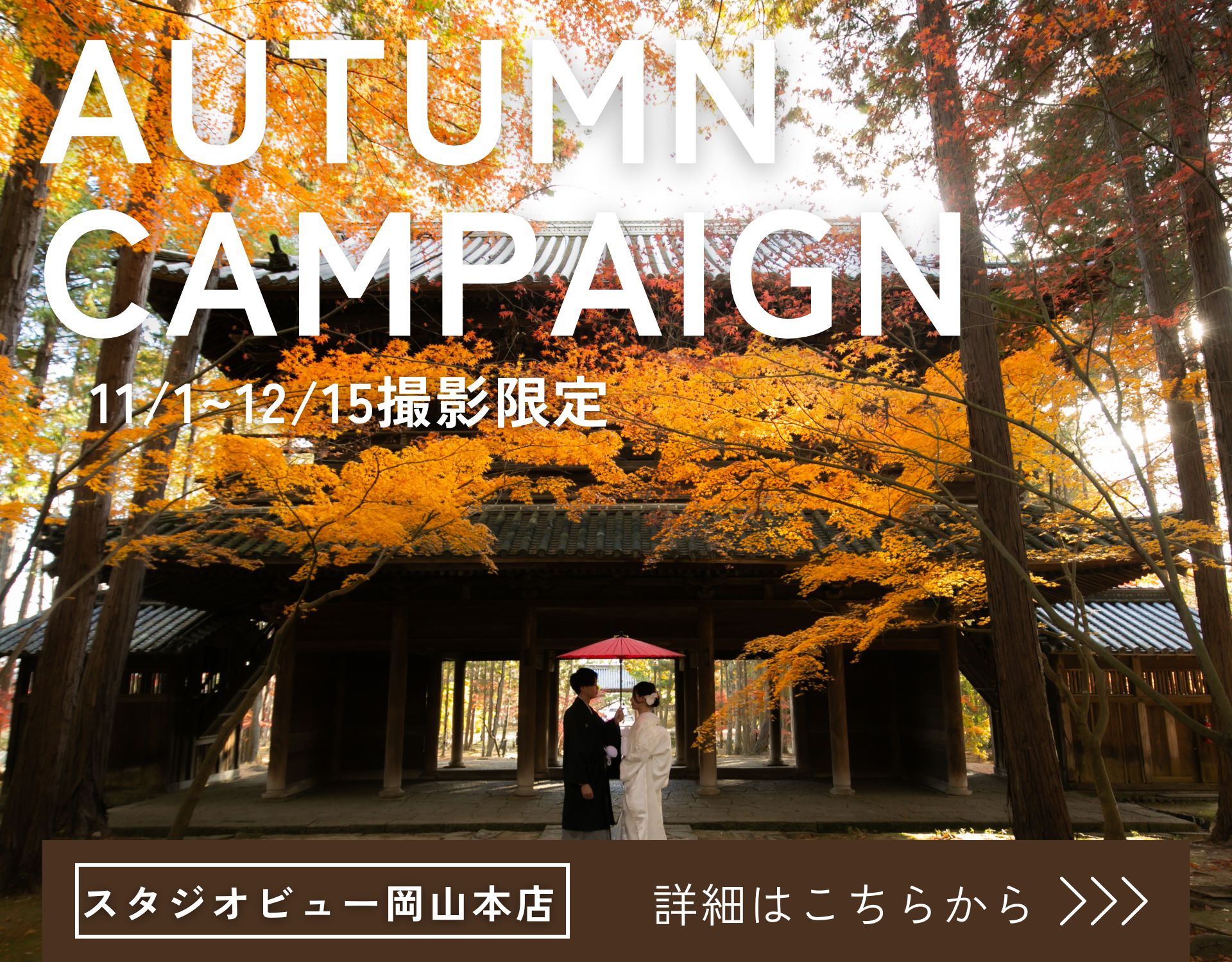 ＊ＡＵＴＵＭＮ　ＣＡＭＰＡＩＧＮ＊