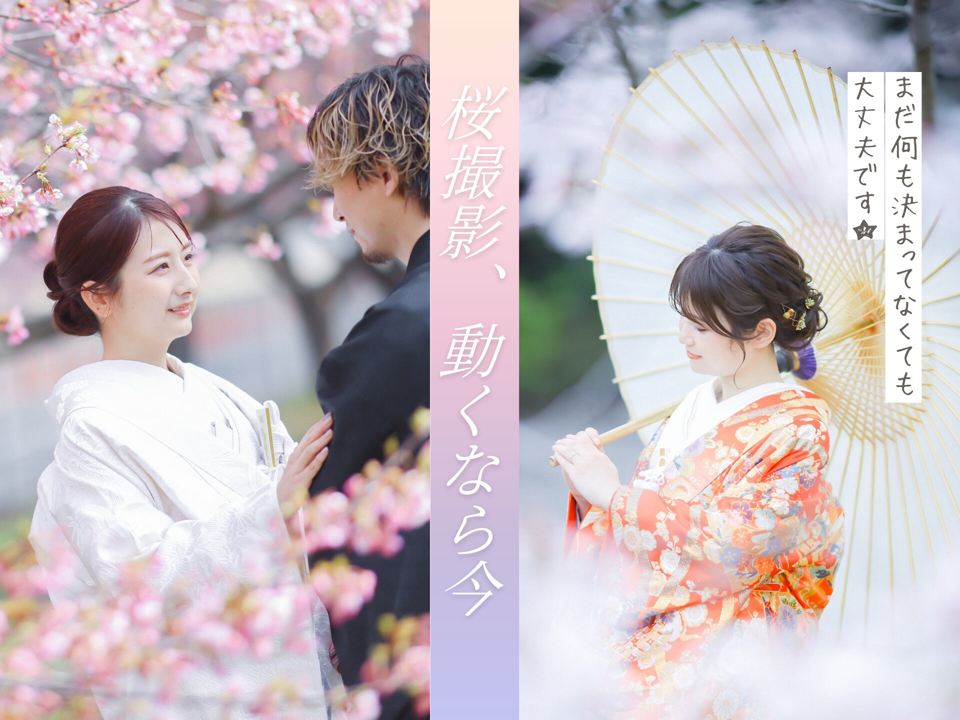 桜撮影　動くなら、今