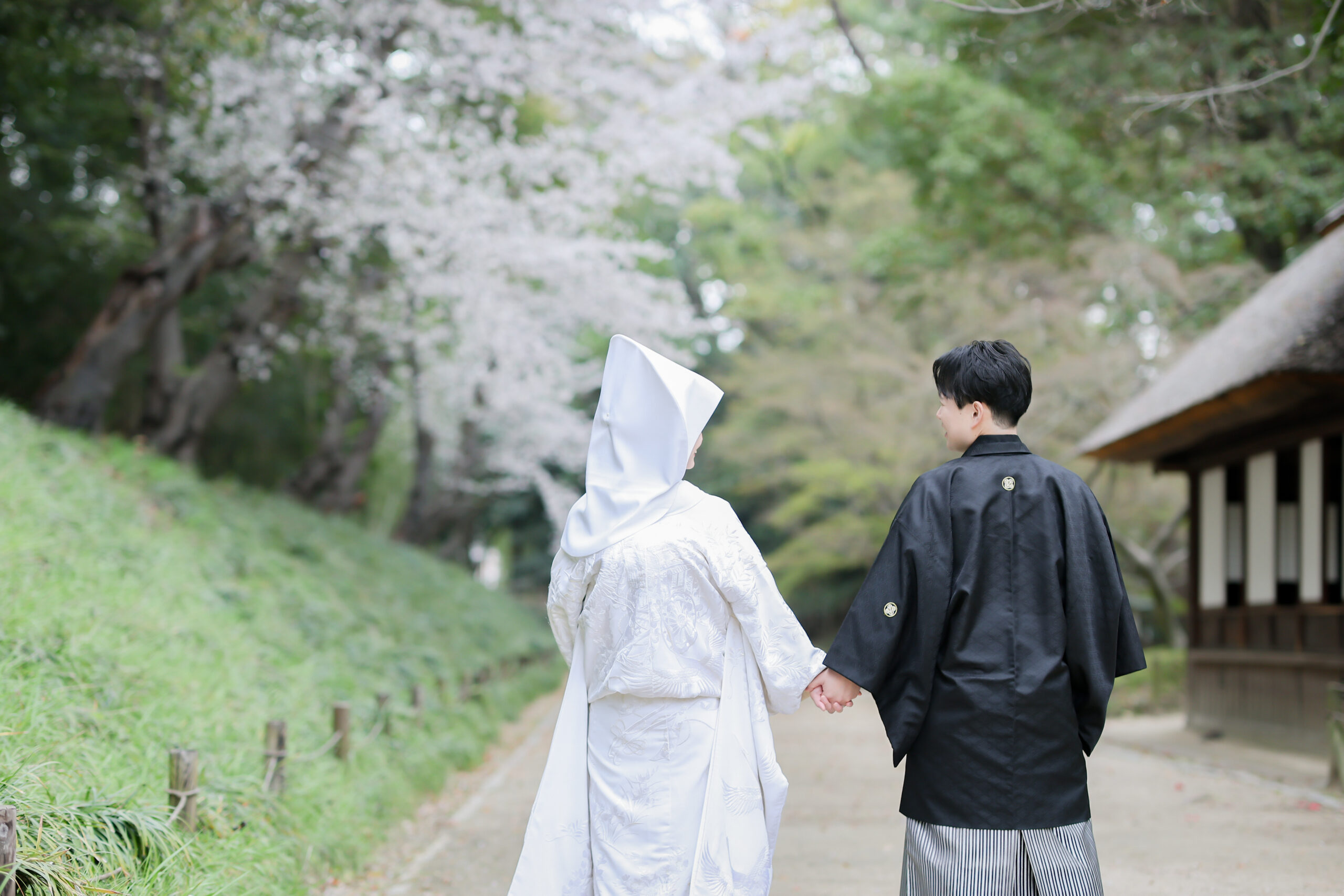 とても素敵な写真をありがとうございます！